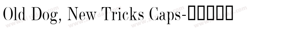 Old Dog, New Tricks Caps字体转换